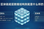 区块链底层数据结构到底是什么样的