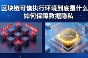 区块链可信执行环境到底是什么？如何保障数据隐私
