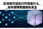 区块链可信执行环境是什么_如何保障数据隐私安全