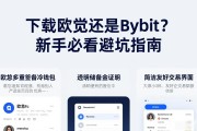 下载欧易还是Bybit？新手必看避坑指南