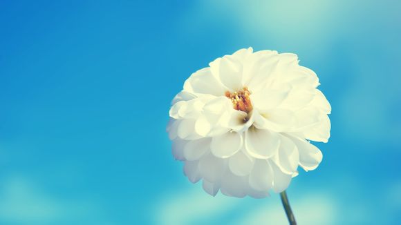 普宁职校