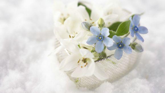 暗芝居第四季