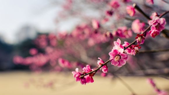 大光圈镜头推荐，大光圈镜头推荐哪款