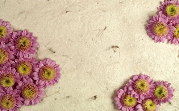 春满桃花沟免费阅读