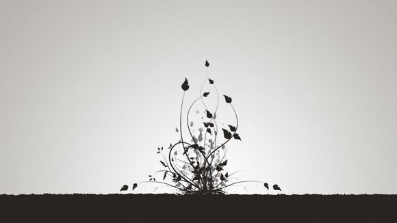 春江花月夜二胡曲谱