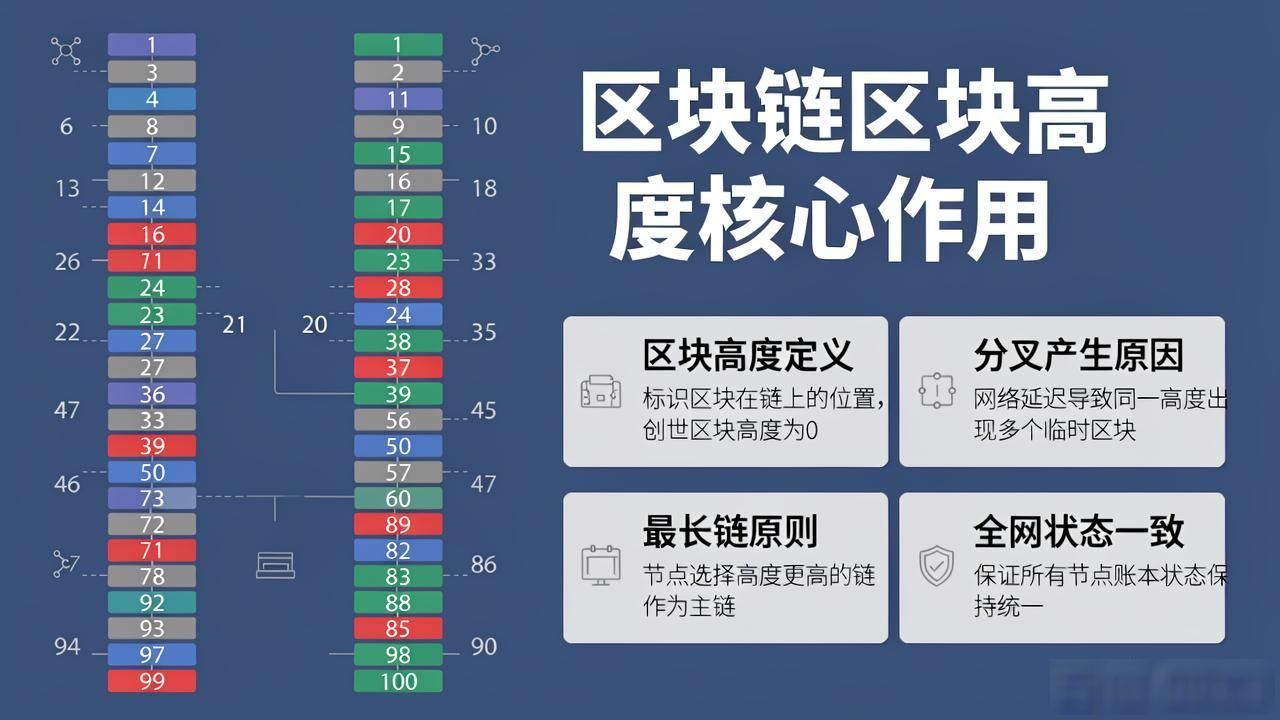 区块链高度作用是什么_区块链区块高度作用_区块链高度是什么意思